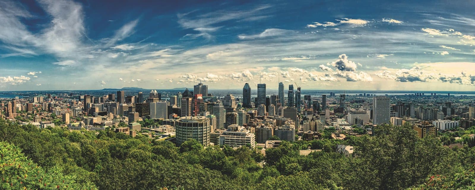 wide-angle photography of buildings during daytime
